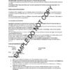 0030 Intangible fixed asset reconciliation - Image 2