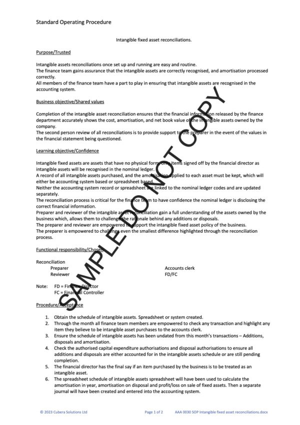 0030 Intangible fixed asset reconciliation - Image 2