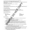 10590 Expenses processing - Image 2