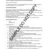 20060 Business strategy preparation - Image 2